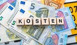 Auf kennzeichen und Geldscheinen steht das Wort Kosten